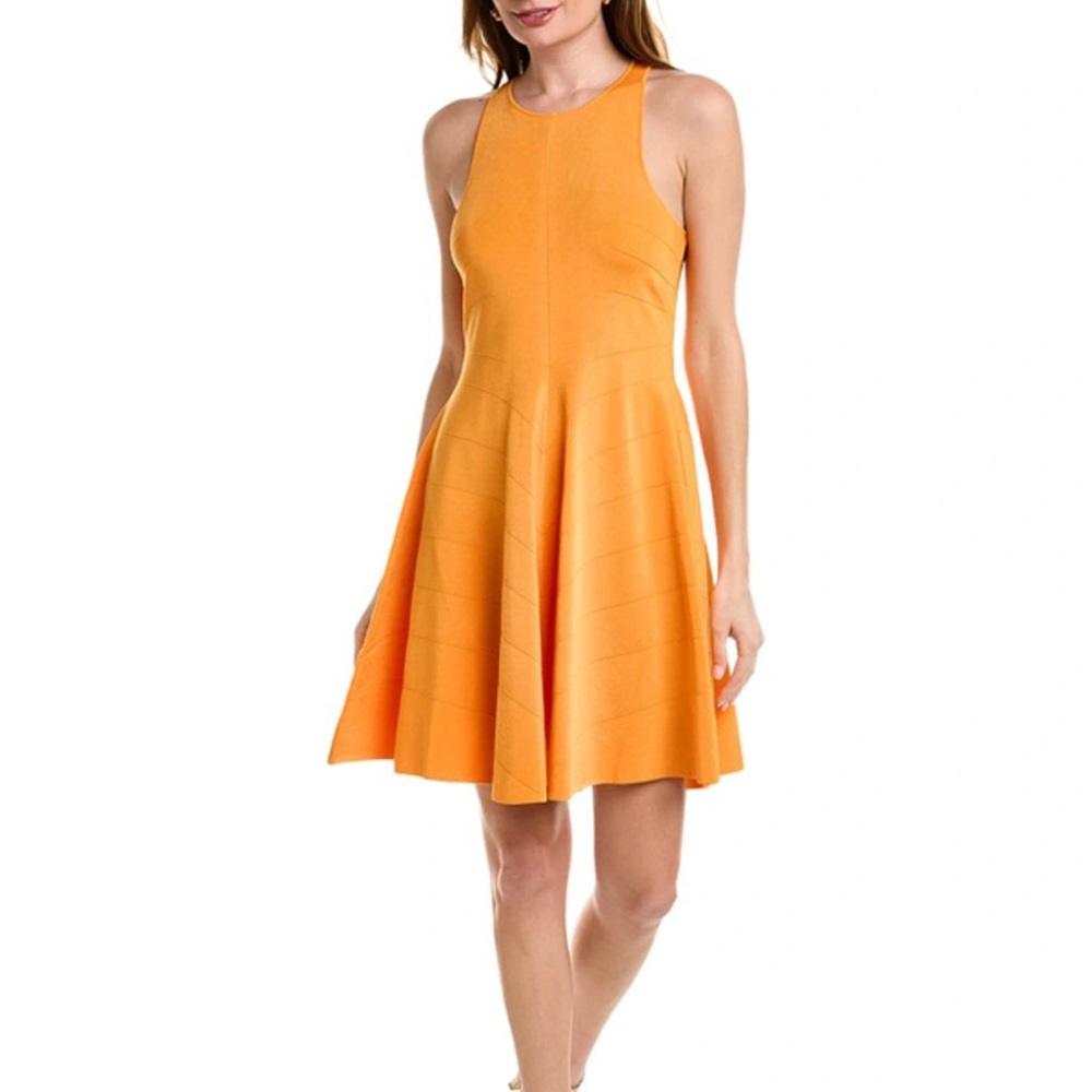 Ted Baker salny dress nwot